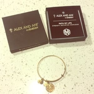 Alex and Ani path of life bracelet